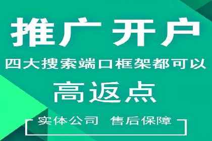 SEM竞价代运营公司成功案例：如何提升广告转化率